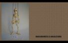 Michel Pelet: Collection